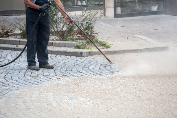 Best Driveway Pressure Washing  in Green Cove Springs, FL