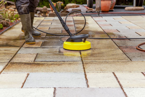 Best Solar Panel Cleaning  in Green Cove Springs, FL